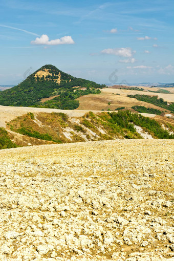 绿色山