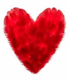 爱情人节一天心使红色的羽毛