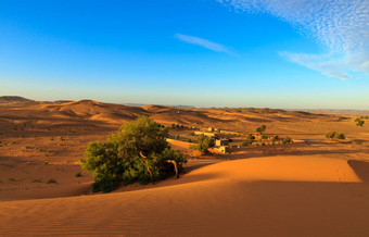 布什沙子撒哈拉沙漠沙漠