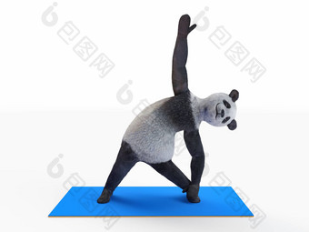 人士字符动物熊熊猫瑜伽伸展运动练习姿势体位