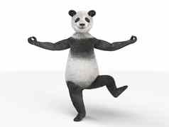 人士字符动物熊熊猫站腿孤立的白色