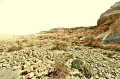 石头沙漠