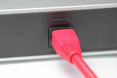 红色的网络电缆连接互联网港口路由器