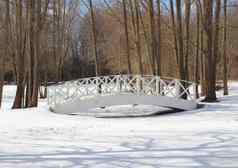 木白色桥雪冻水