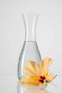 花瓶清洁水芙蓉花