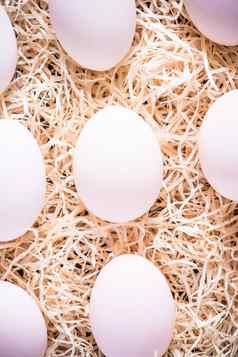农场新鲜的白色鸡蛋