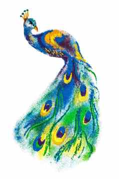 色彩斑斓的孔雀鸟兰戈利