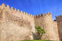 阿维拉小镇城堡墙炮塔燕子卡斯提尔西班牙