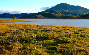全景景观大叻年越南湖草