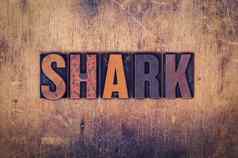 鲨鱼概念木凸版印刷的类型