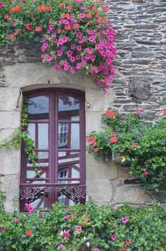 漂亮的窗口罗什福尔恩特尔法国