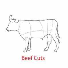 beef-cuts