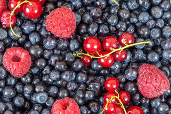 蓝莓<strong>树莓</strong>红色的醋栗背景