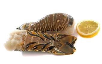 尾巴多刺的龙虾