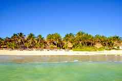 风景优美的视图夏天海滩景观棕榈树