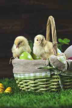 复活节桶鸡蛋年轻的复活节鸡