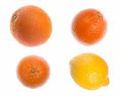 柑橘类孤立的白色背景