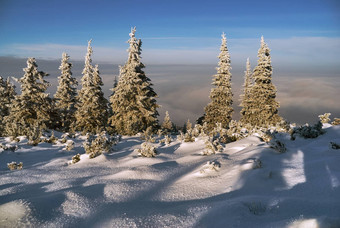 雪景<strong>云杉</strong>云冬天贝斯基迪山波兰