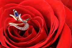 环蓝宝石红色的玫瑰