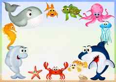 海动物海洋