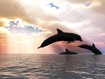 海豚神奇的天空