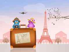 鸟夫妇旅行巴黎