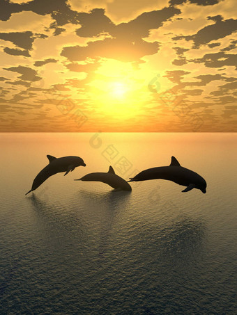 海豚黄色的日落