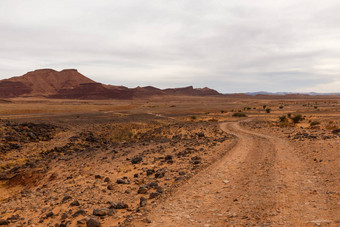 路沙漠撒哈拉沙漠