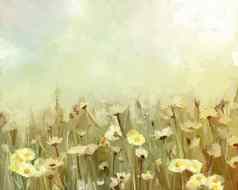 石油绘画daisy-chamomile花场