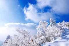 德鱼山山覆盖雪早....雾冬天