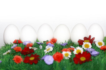 白色鸡蛋色彩斑斓的草地