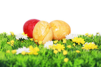 黄色的红色的复活节鸡蛋