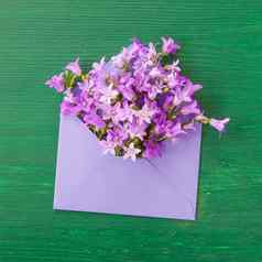 紫色的桔梗花信封