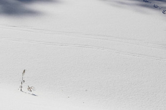 雪地壳白色背景