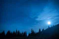 森林松树月亮蓝色的黑暗晚上天空