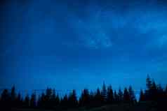 森林松树蓝色的黑暗晚上天空