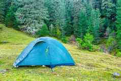 蓝色的野营帐篷绿色森林