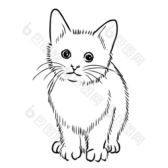 徒手画的草图插图猫
