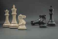 黑色的白色王骑士国际象棋设置黑暗使用