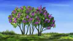 淡紫色树春天