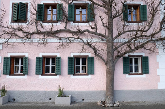 树生长房子哈尔斯塔特奥地利