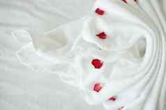 毛巾please尾巴天鹅花瓣红色的玫瑰
