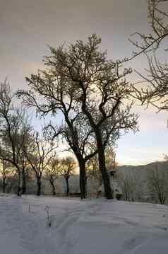 日出冬天山日出喀尔巴阡山脉的山