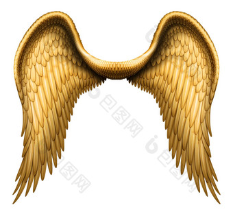 天使<strong>翅膀</strong>