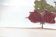 红色的玫瑰笔记本准备礼物情人节一天
