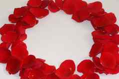 红色的玫瑰花花瓣水疗中心芳香疗法