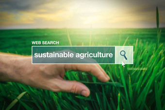 可持续发展的农业网络搜索酒吧术语表术语