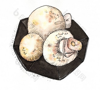 蘑菇食用香草水彩画蘑菇板