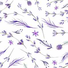 水彩紫色的薰衣草模式