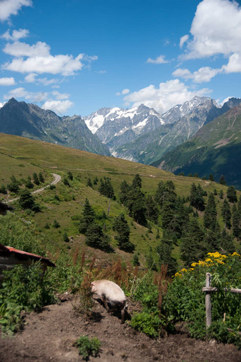 徒步旅行山